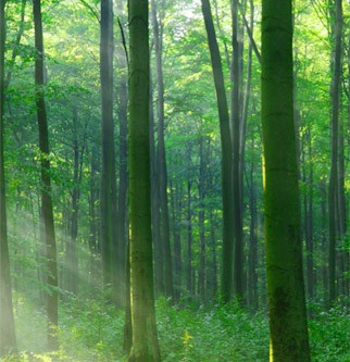 银娱优越会(中国)股份有限公司