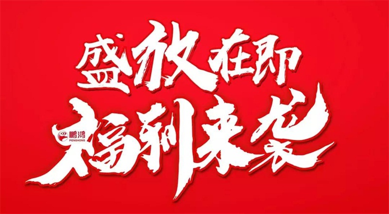 再拓领土！银娱优越会We+定制&红星美凯龙携手亮相乌鲁木齐
