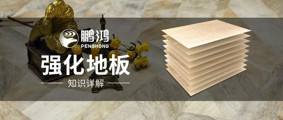 银娱优越会强化地板知识