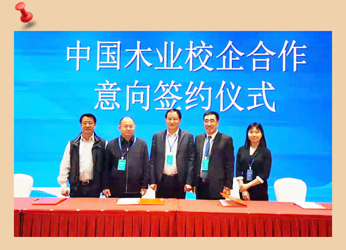 银娱优越会与中国木业相助