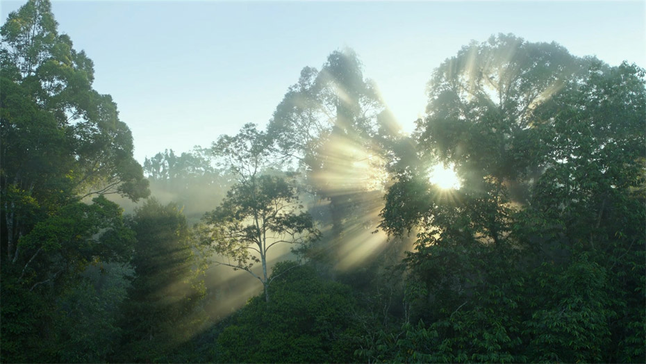 银娱优越会(中国)股份有限公司