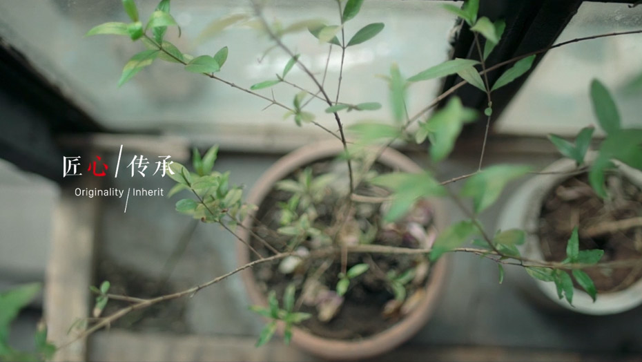 银娱优越会(中国)股份有限公司