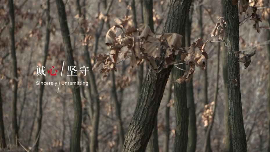 银娱优越会(中国)股份有限公司