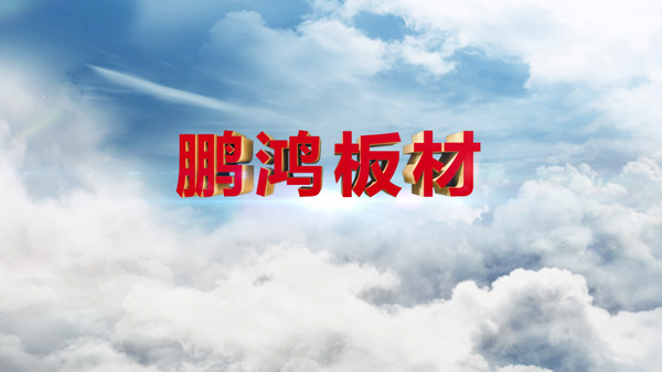 银娱优越会产品纪录片之板材篇